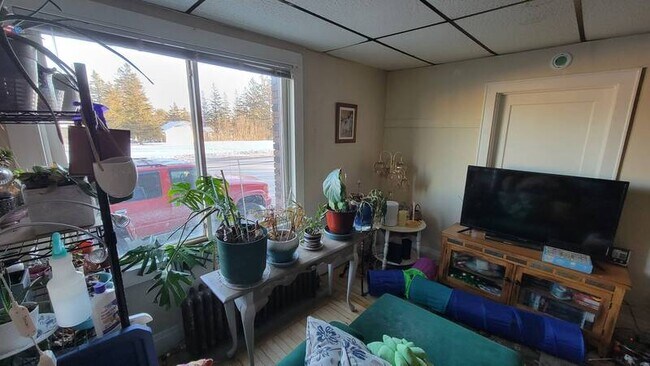 Building Photo - 1229 Commonwealth Ave