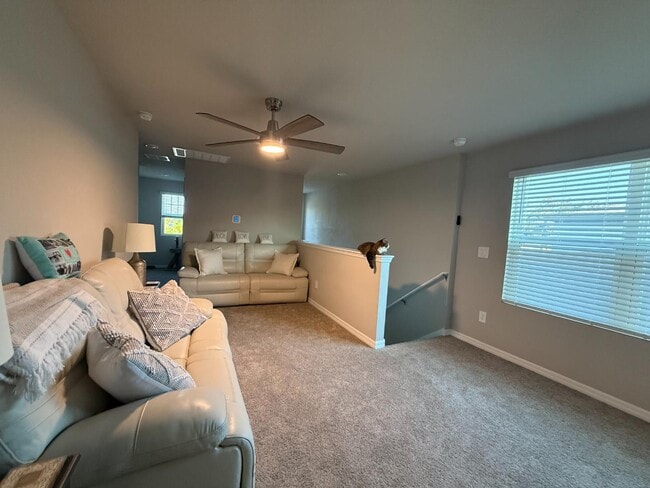 Building Photo - 3919 Radiant Mountain Dr