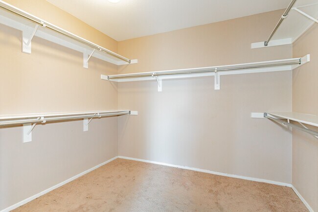 Massive closet - 8600 Mirada del Sol Dr