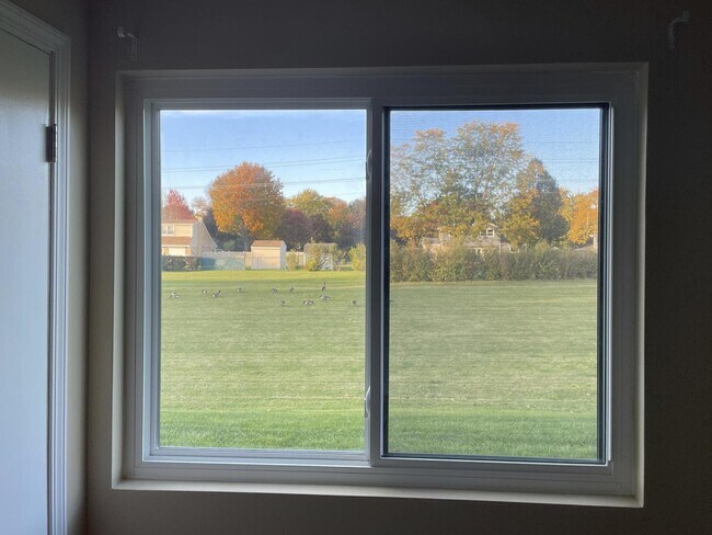 Building Photo - 240 E Rimini Ct