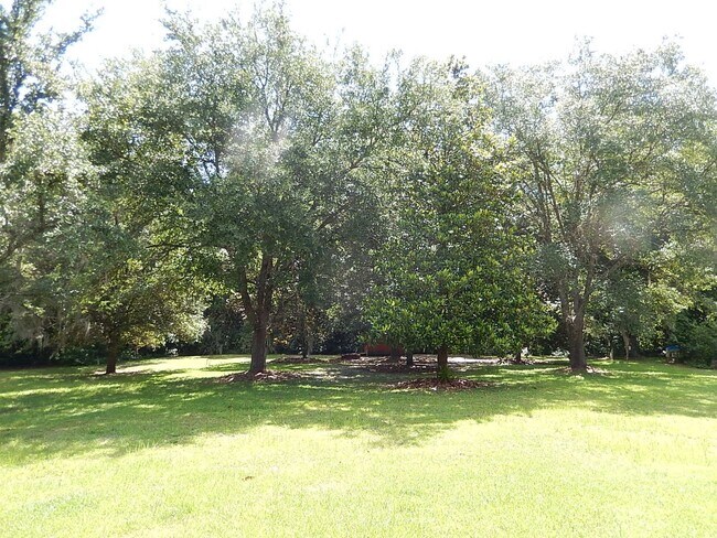 Building Photo - LOVELY 4/2.5 in Buck Lake Area on 1 Acre w/ 2 Car Garage, Washer/Dryer, Lawn Maint, & 2228 sq ft!...