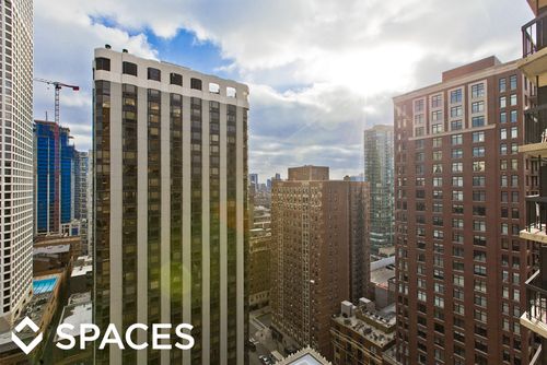 Building Photo - 1133 N Dearborn St