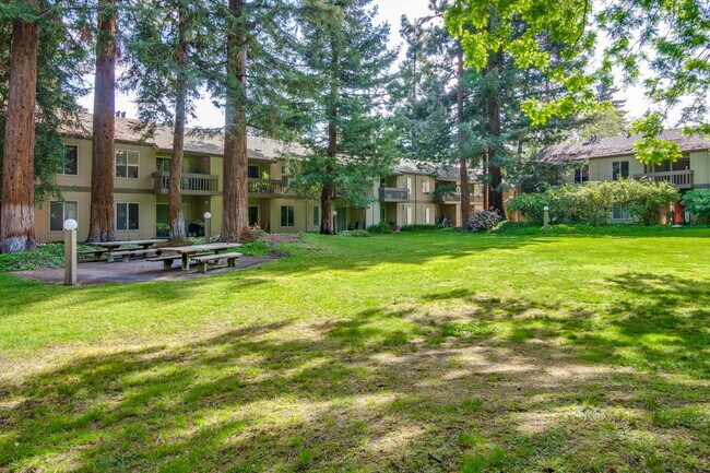 Building Photo - Fully Furnished Condo near Downtown Mountain View & Stevens Creek Trail