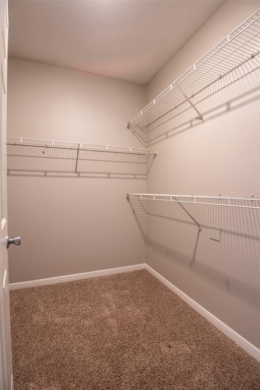 Building Photo - 2320 Gracy Farms Ln