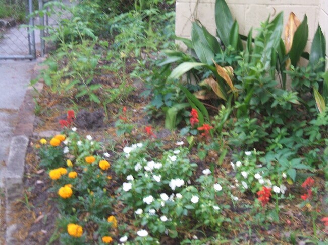 Building Photo - 4 Bedroom house---walk to Forsyth in 15 mi...