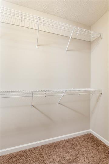 Building Photo - 300 Elkchester Cir