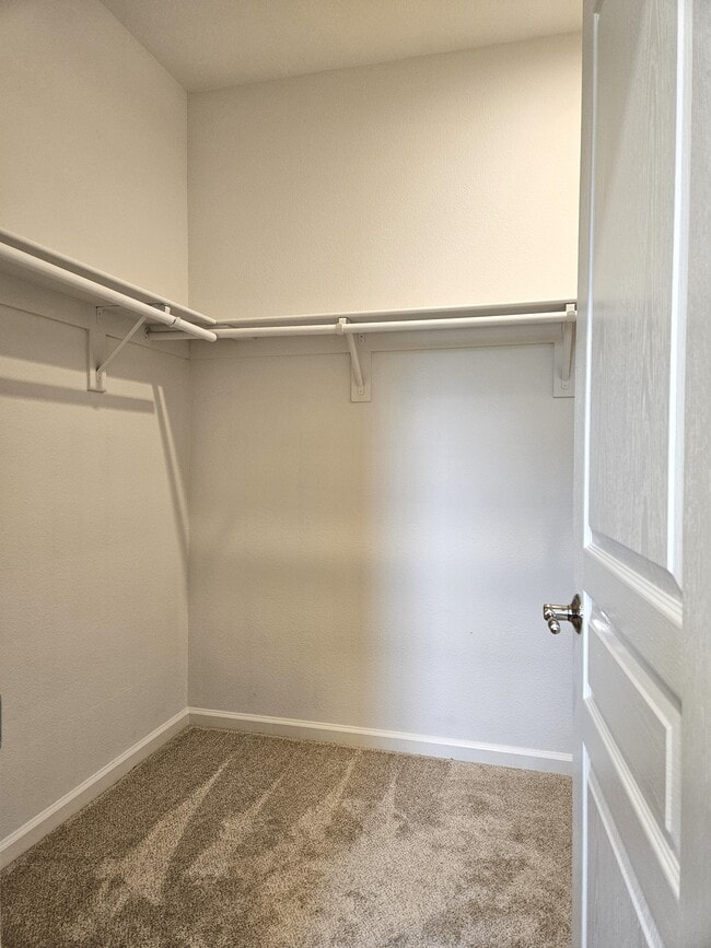 Building Photo - 143 W Saltillo Ln