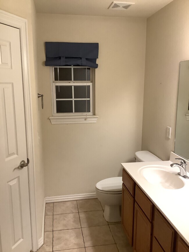 Master Bath window and sink - 431 Firewood Dr