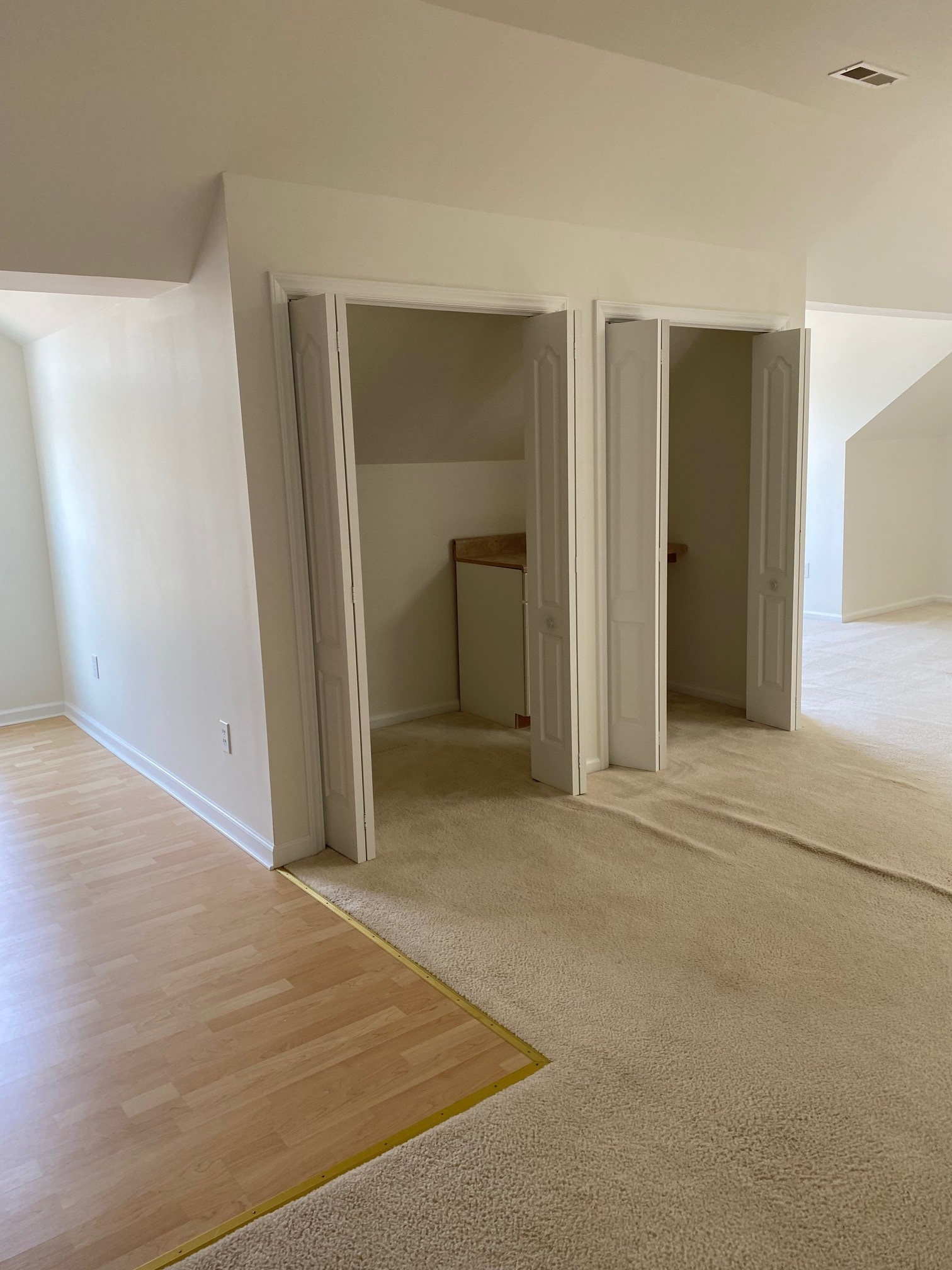 Living room closet - 97 Mount Soma Blvd
