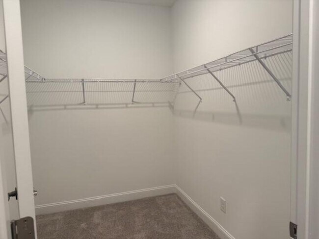 Building Photo - 1705 Pinecliff Ct
