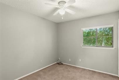 Building Photo - 8311 Treehouse Ln