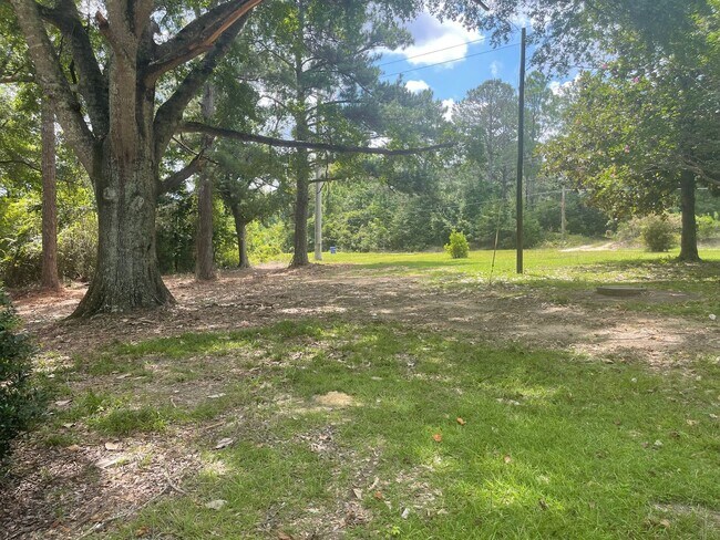 Building Photo - Great house on a large lot in Beauregard.
