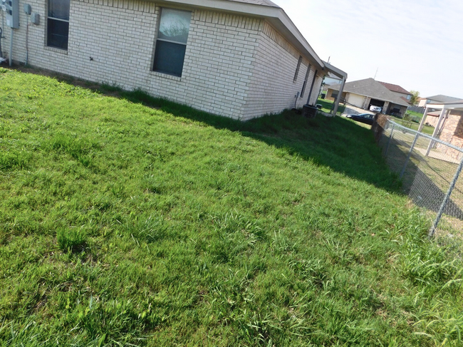Building Photo - 2803 Alma Dr