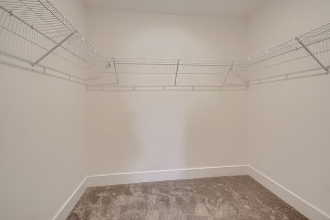 Building Photo - 3007 Blueberry Ln