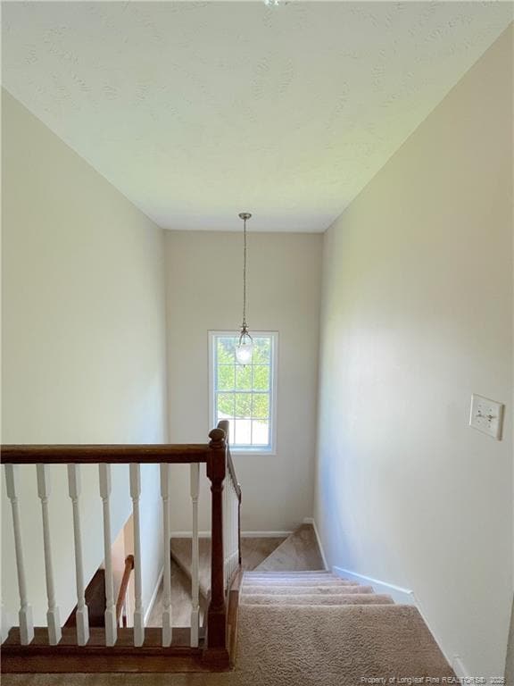Building Photo - 68 Abigail Way