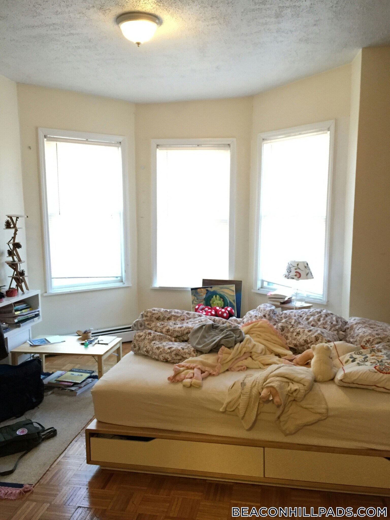 Building Photo - 40 Anderson St