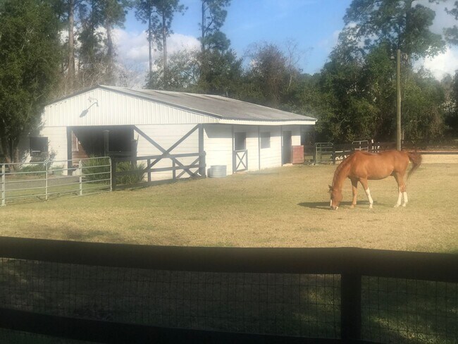 Building Photo - Horse property in St. Johns County