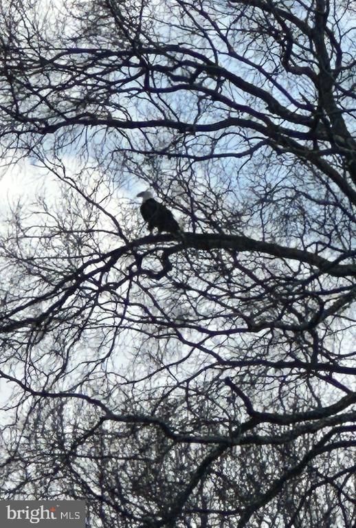 Building Photo - 6621 Wakefield Dr