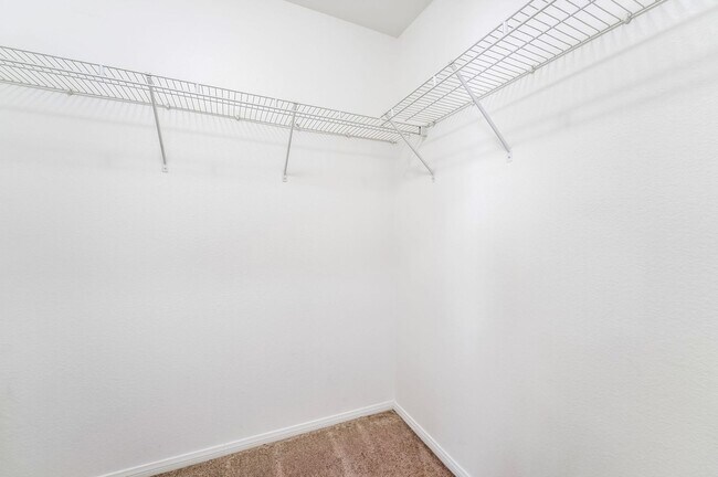 Building Photo - Modern Comfort in the Heart of Coronado Ranch!
