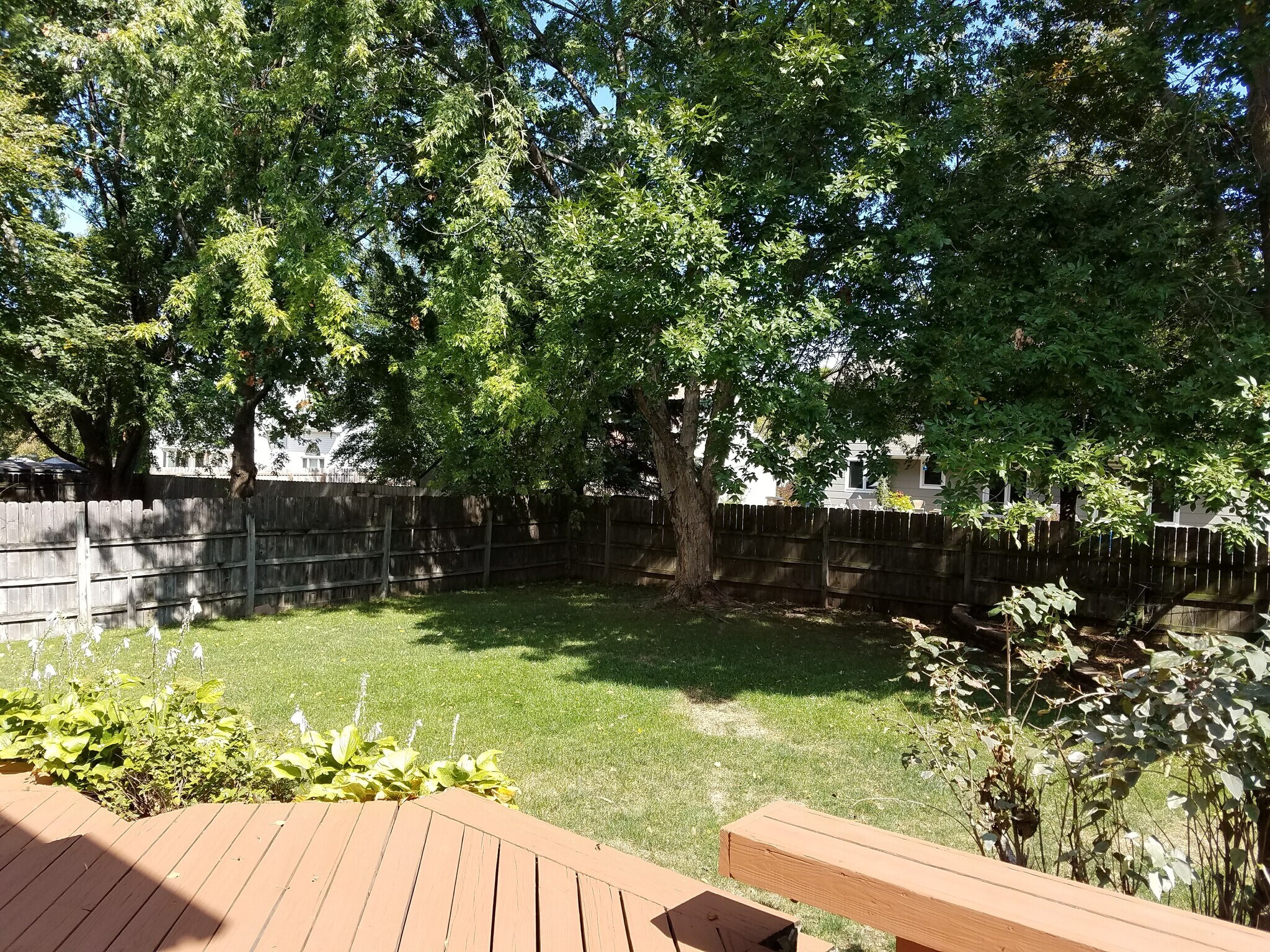 backyard - 1209 58th St