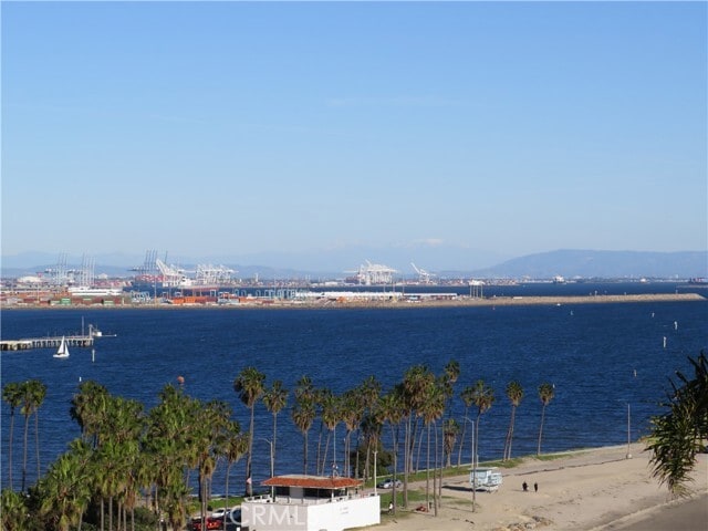 Building Photo - 3935 Bluff Pl