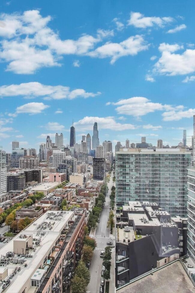 Building Photo - 700 N Larrabee St