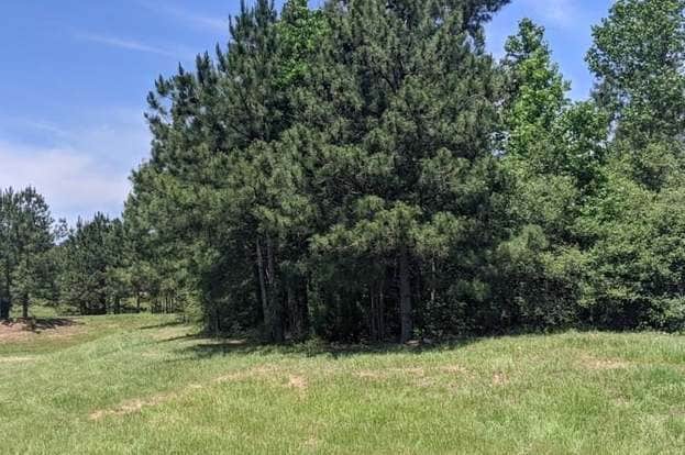 Building Photo - 1117 Cedar Trace Pl