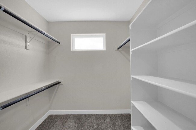 Building Photo - 3798 Venice Grove