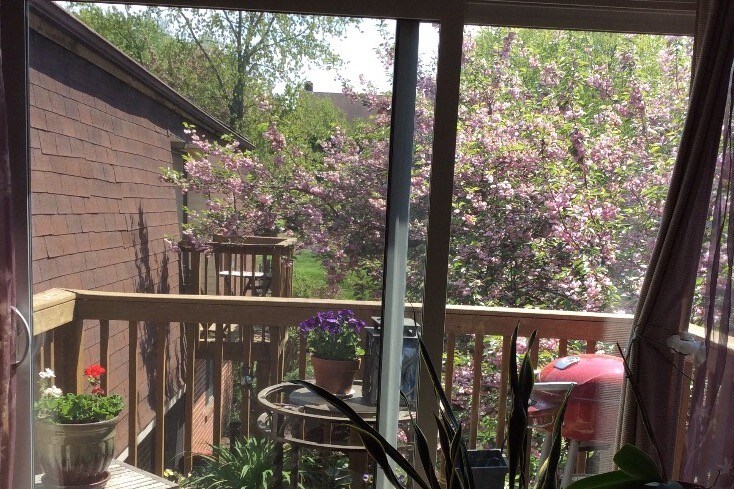 View from living room - 423 Lawrence Rd