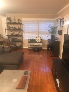 Living room with hardwood floors - 1861 Pandora Ave