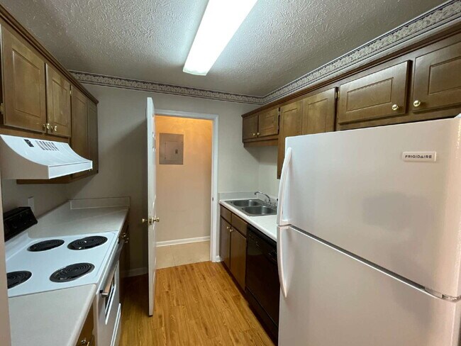 Building Photo - Cotton District 1BR | Bike to MSU | Spring '26 Lease Available