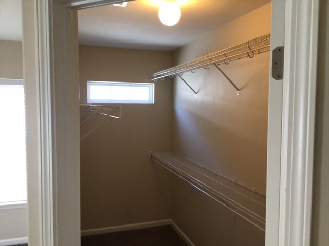 Building Photo - 50 Chey Hill Ln