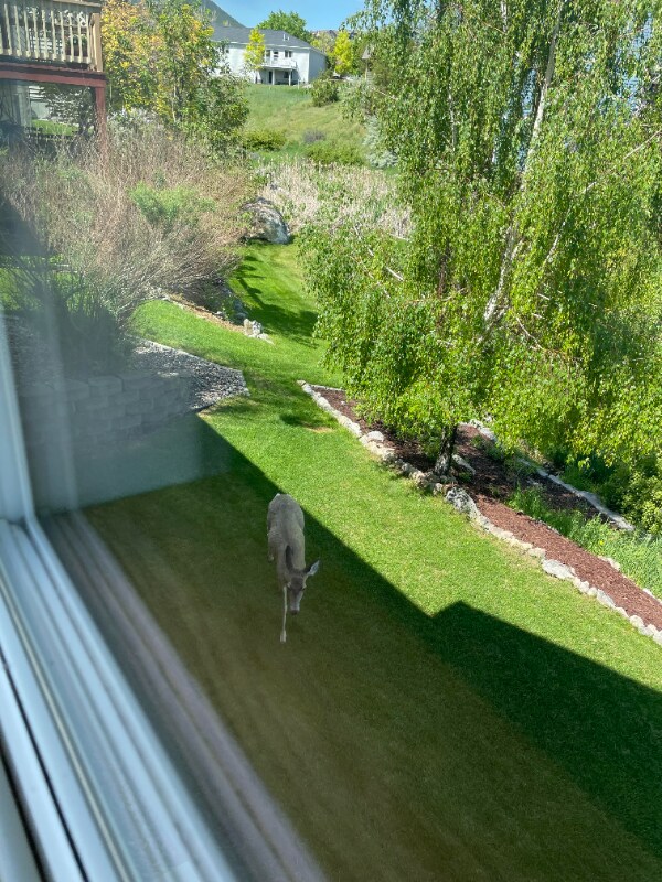 Building Photo - 60 Dayspring Loop