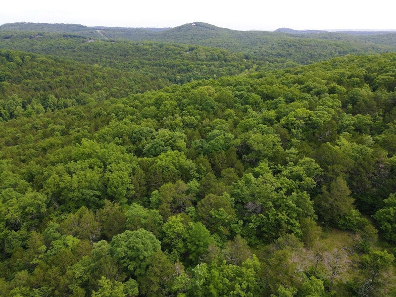 Building Photo - 2404 Victor Church Rd