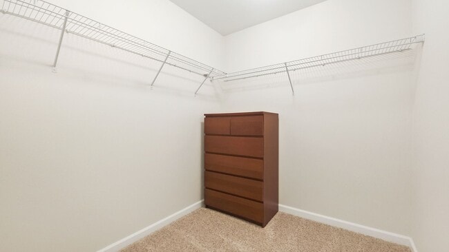 Building Photo - Beautiful, Light-Filled Home Bordering Protected Greenbelt