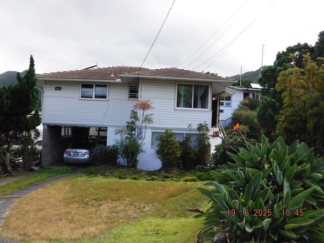Primary Photo - At Home in Manoa 2/1/1