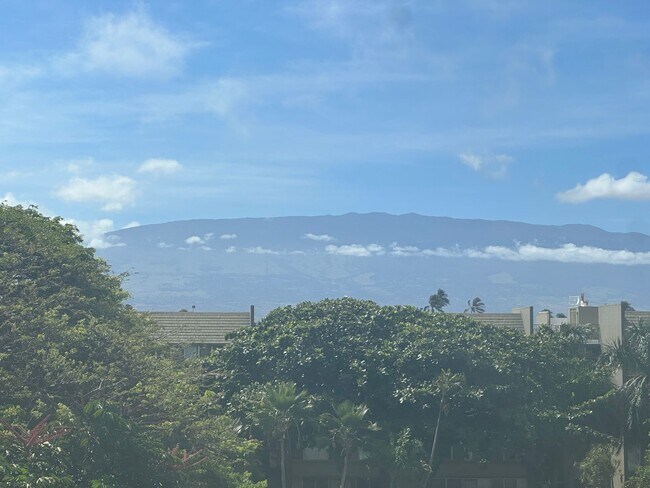 Building Photo - Maui Condo