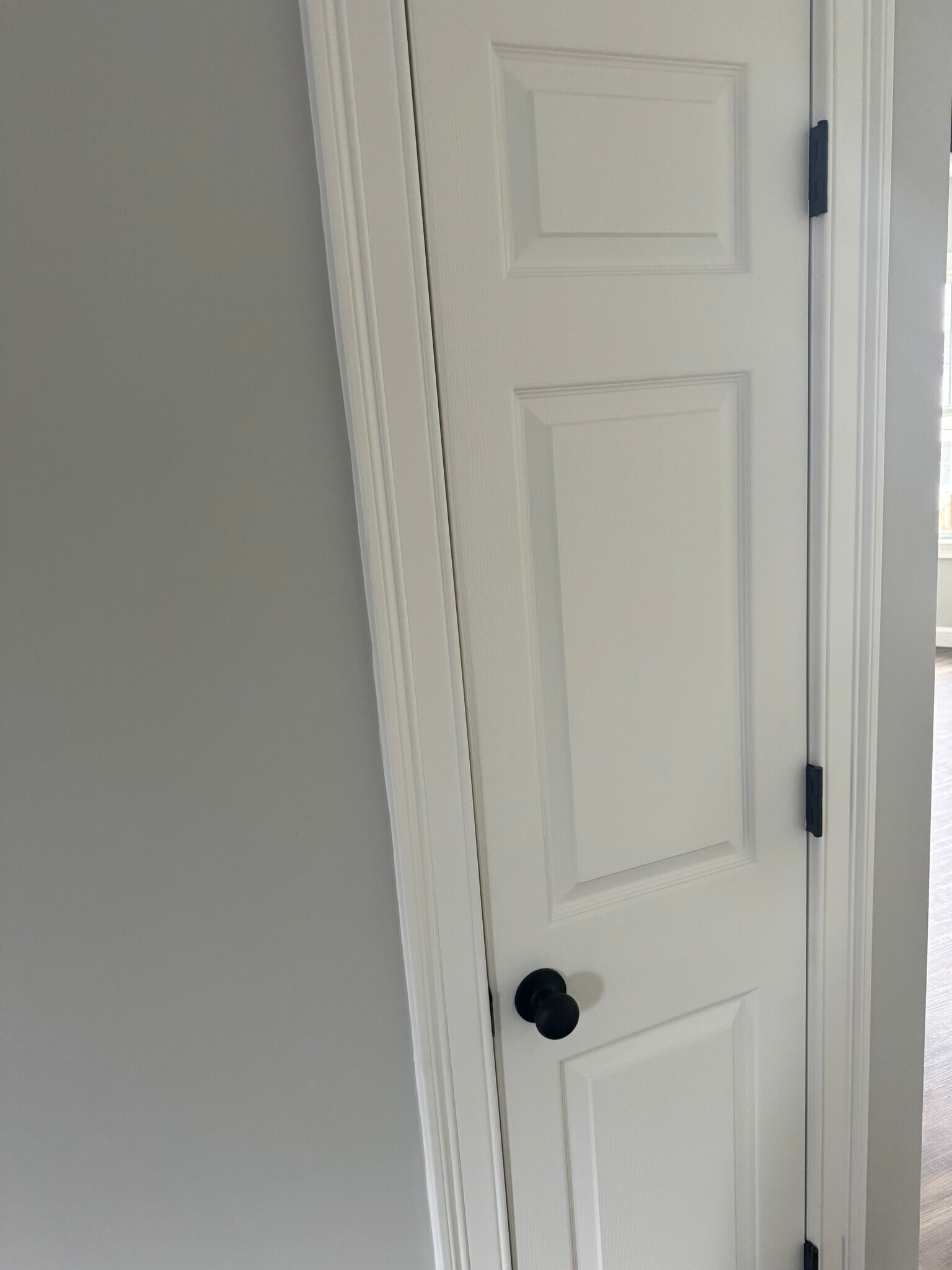 Pantry/utility closet - 4 Wright St