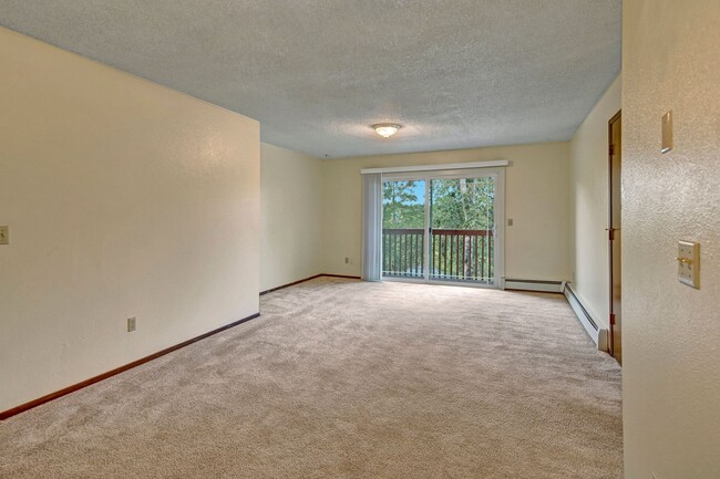 Brighton Woods Apartments - Living Area - Brighton Woods