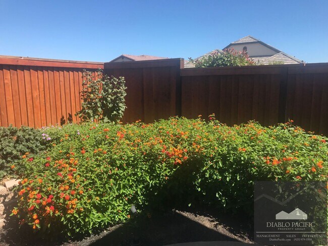 Building Photo - EXPERIENCE TRILOGY AT THE VINEYARDS LIFE ON A VINEYARD