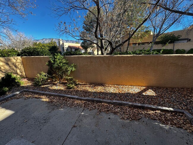 Building Photo - 2 Bedroom 2 bath plus loft and one car garage.