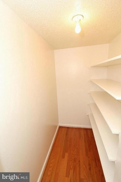 Building Photo - 3288 Wyndale Ct