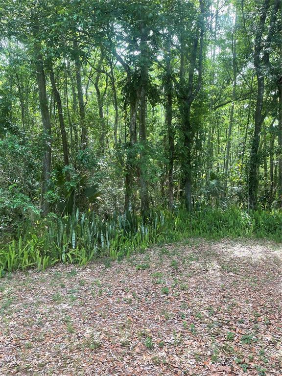 Building Photo - 16131 Manorwood Cir