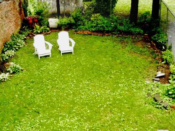 Building Photo - 165 Johnston St