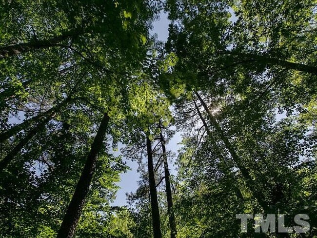 Building Photo - Gorgeous 3 Bedroom Home, Hardwood Floors, ...