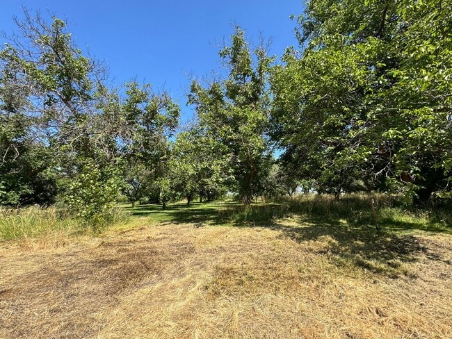 Building Photo - West Valley 3 bedroom country home with 3 bay shop