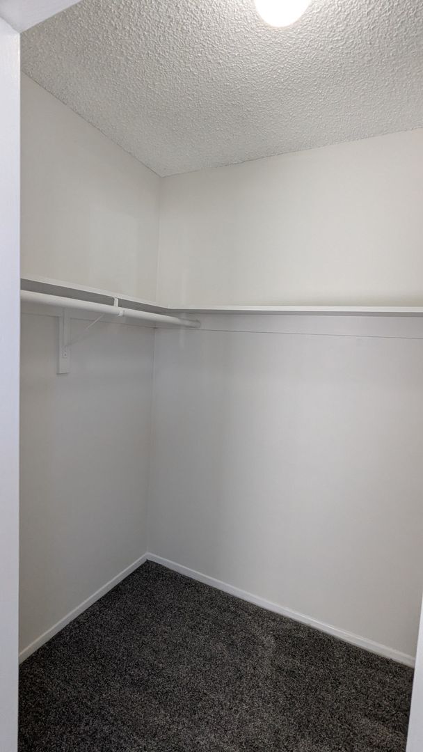 Building Photo - Beautifully Remodeled 2 Bed 1.5 Bath Santa...