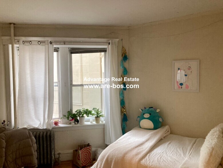 Building Photo - 62 Egmont St