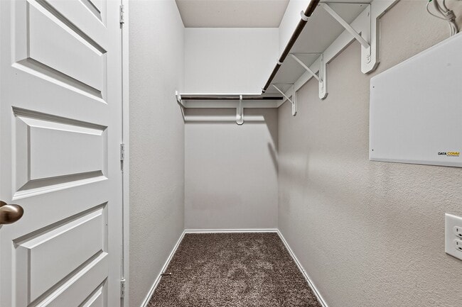 Building Photo - 2511 Sandbar Shark Ct
