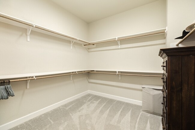 Building Photo - 9806 Starry Night Ln